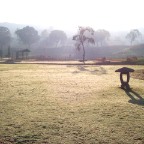 早朝の景色　2006