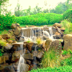 滝（撮影･･･Abhir Pimpalgaonkar）2008